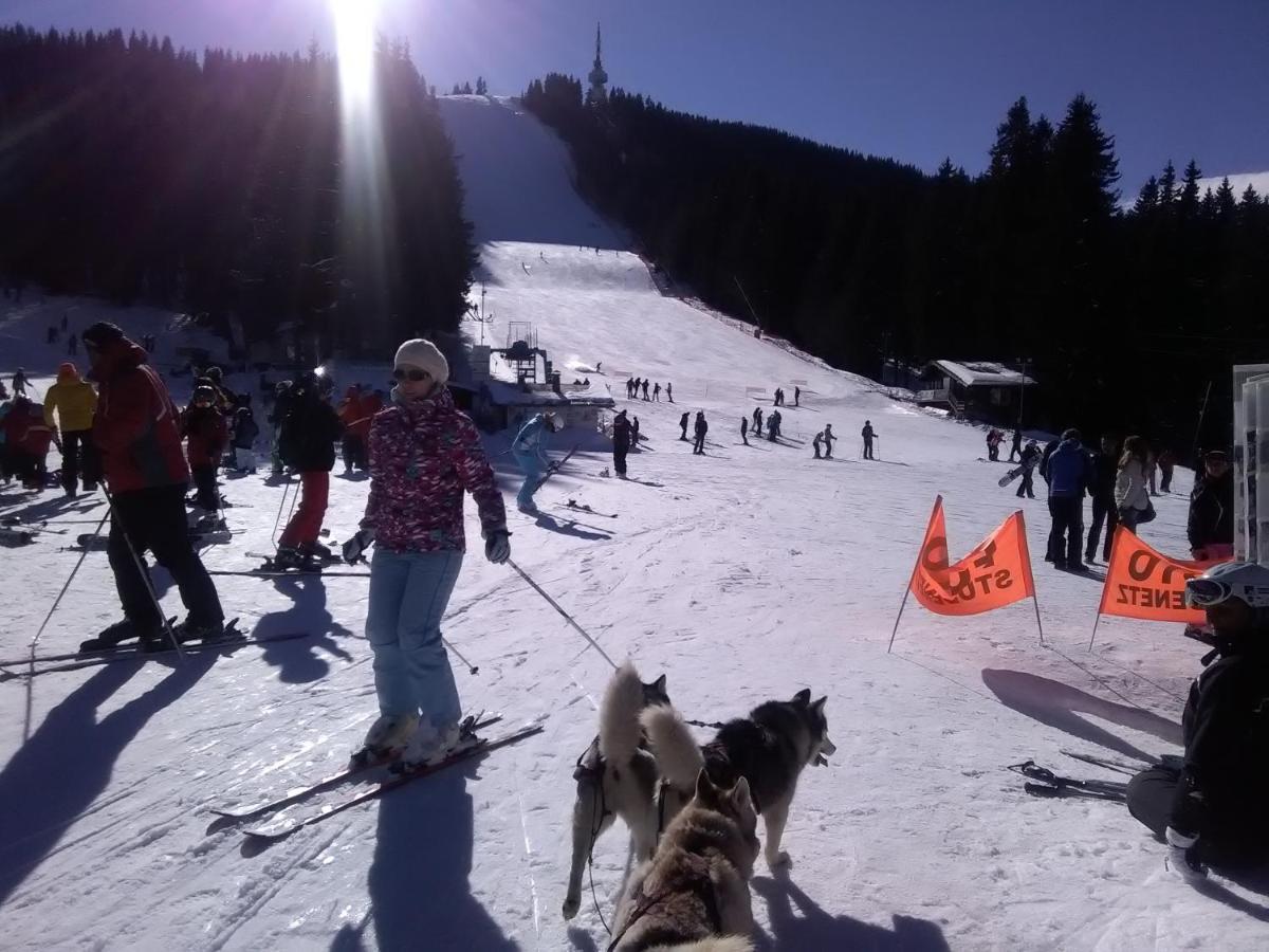 Ski Chalets At Pamporovo - An Affordable Village Holiday For Families Or Groups Exterior foto